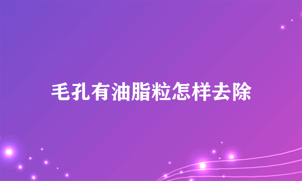 毛孔有油脂粒怎样去除