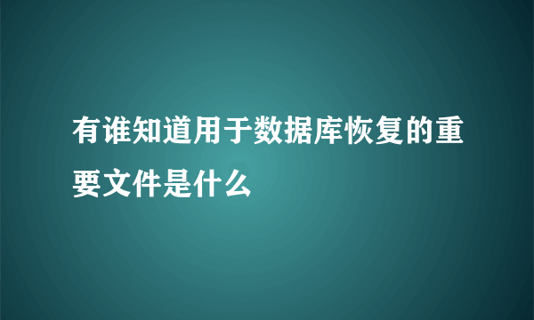 有谁知道用于数据库恢复的重要文件是什么