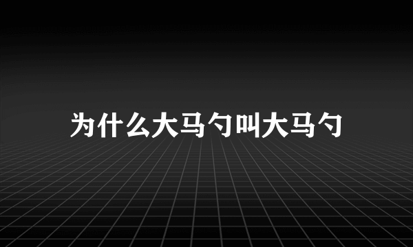 为什么大马勺叫大马勺