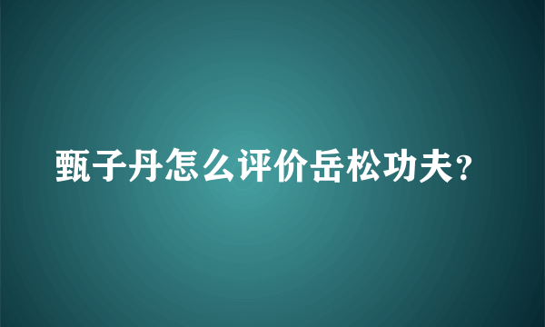 甄子丹怎么评价岳松功夫？