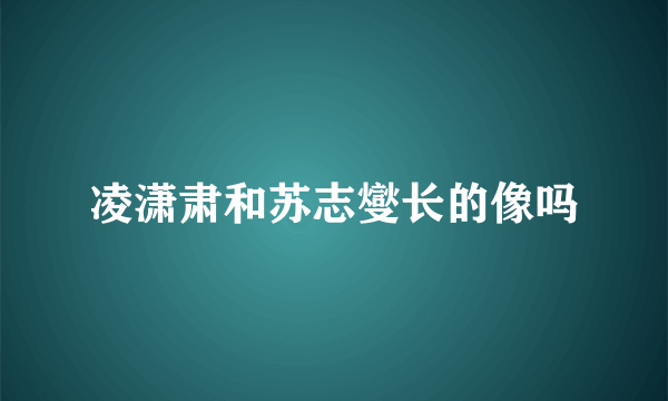 凌潇肃和苏志燮长的像吗