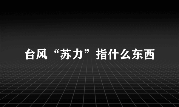 台风“苏力”指什么东西