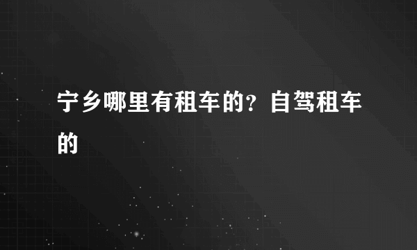 宁乡哪里有租车的？自驾租车的