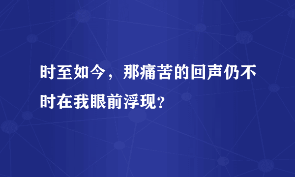 时至如今，那痛苦的回声仍不时在我眼前浮现？