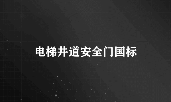 电梯井道安全门国标