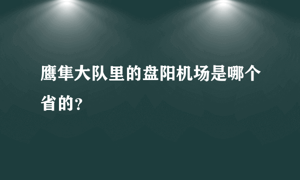 鹰隼大队里的盘阳机场是哪个省的？