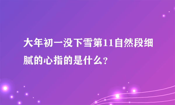 大年初一没下雪第11自然段细腻的心指的是什么？