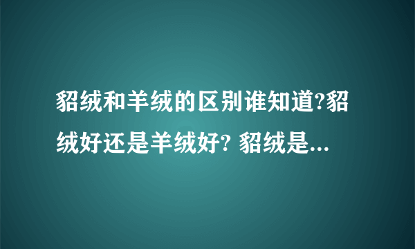 貂绒和羊绒的区别谁知道?貂绒好还是羊绒好? 貂绒是什么动物的皮毛?