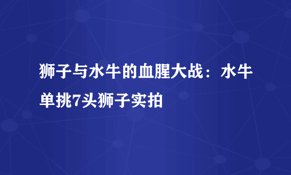 狮子与水牛的血腥大战：水牛单挑7头狮子实拍