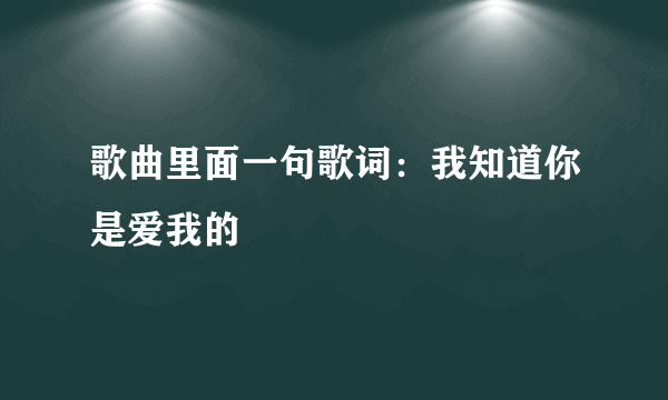 歌曲里面一句歌词：我知道你是爱我的