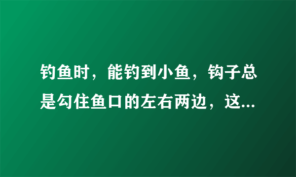 钓鱼时，能钓到小鱼，钩子总是勾住鱼口的左右两边，这是钓顿了还是怎么的了，该如何调整