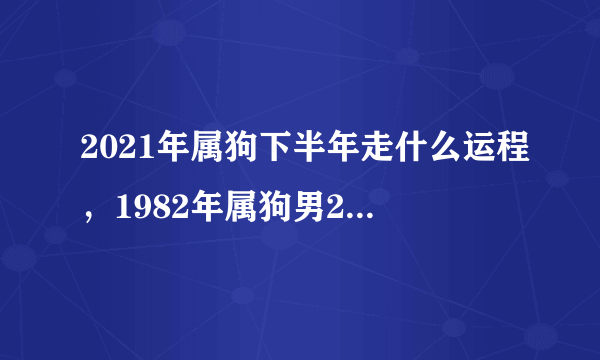 2021年属狗下半年走什么运程，1982年属狗男2021年运势及运程