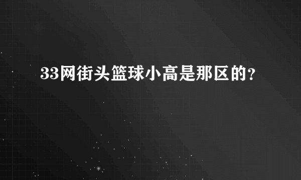 33网街头篮球小高是那区的？