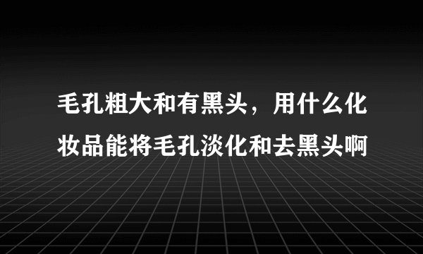 毛孔粗大和有黑头，用什么化妆品能将毛孔淡化和去黑头啊