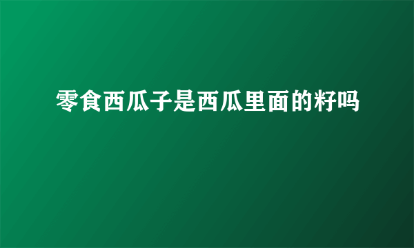 零食西瓜子是西瓜里面的籽吗