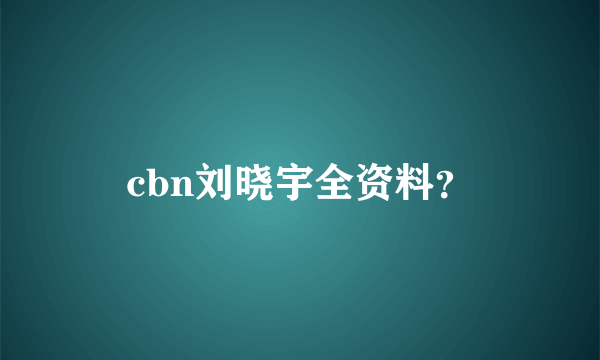 cbn刘晓宇全资料？