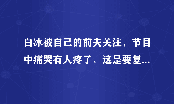 白冰被自己的前夫关注，节目中痛哭有人疼了，这是要复婚的节奏吗？