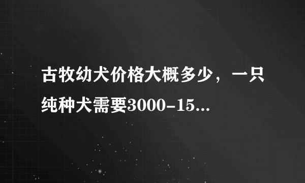 古牧幼犬价格大概多少，一只纯种犬需要3000-15000元