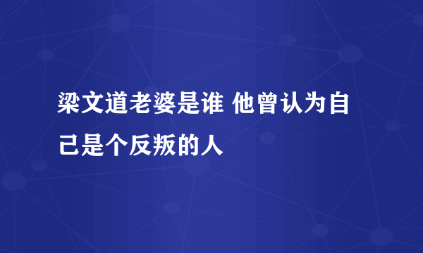 梁文道老婆是谁 他曾认为自己是个反叛的人