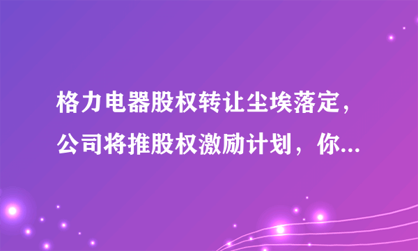 格力电器股权转让尘埃落定，公司将推股权激励计划，你怎么看？