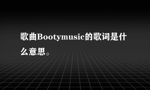 歌曲Bootymusic的歌词是什么意思。