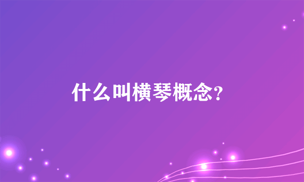 什么叫横琴概念？