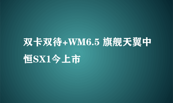 双卡双待+WM6.5 旗舰天翼中恒SX1今上市