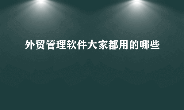 外贸管理软件大家都用的哪些