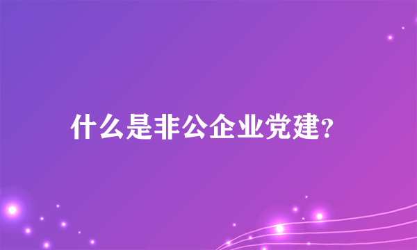 什么是非公企业党建？