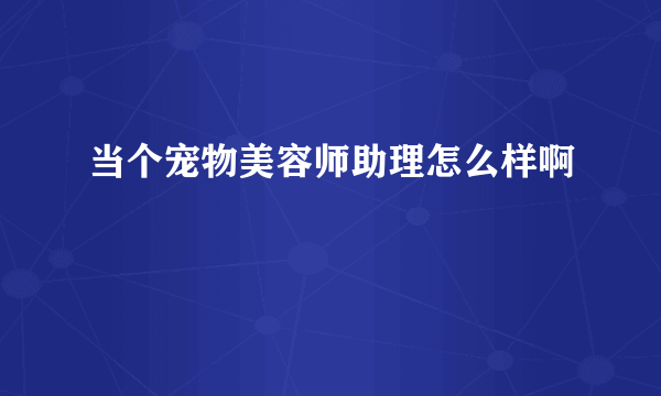 当个宠物美容师助理怎么样啊