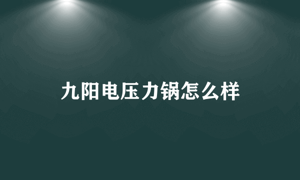 九阳电压力锅怎么样