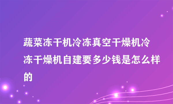 蔬菜冻干机冷冻真空干燥机冷冻干燥机自建要多少钱是怎么样的