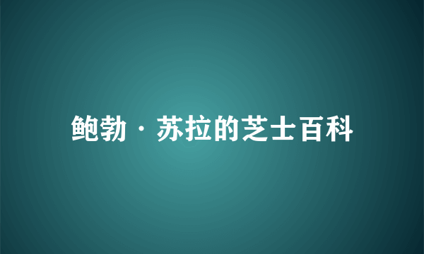 鲍勃·苏拉的芝士百科