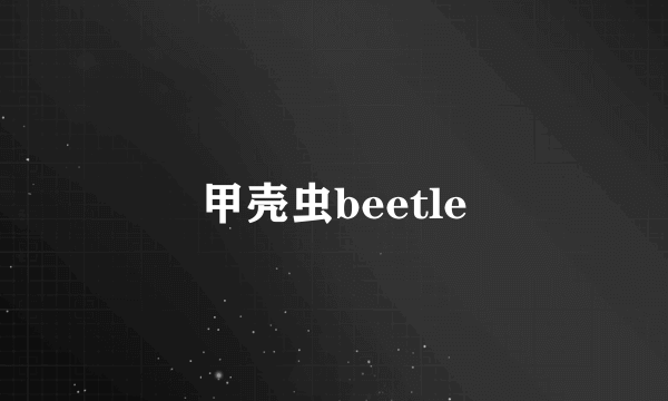 甲壳虫beetle