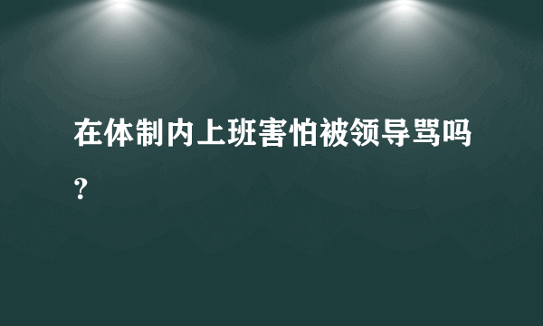 在体制内上班害怕被领导骂吗？