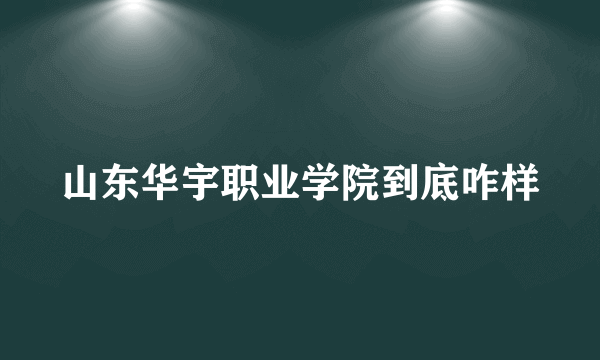 山东华宇职业学院到底咋样