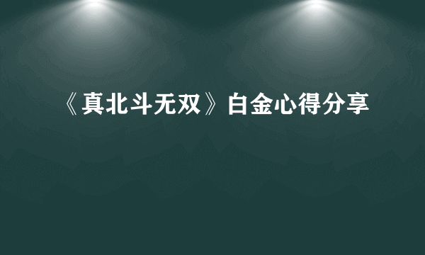 《真北斗无双》白金心得分享