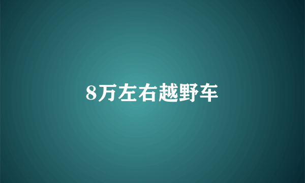 8万左右越野车