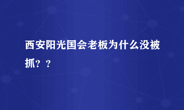 西安阳光国会老板为什么没被抓？？