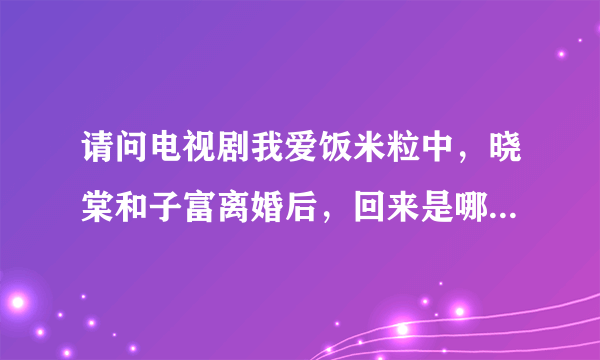 请问电视剧我爱饭米粒中，晓棠和子富离婚后，回来是哪一集，名字是什么？