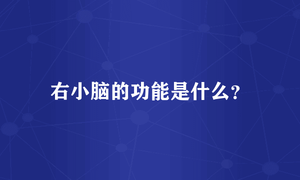 右小脑的功能是什么？