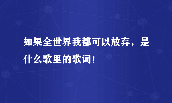 如果全世界我都可以放弃，是什么歌里的歌词！