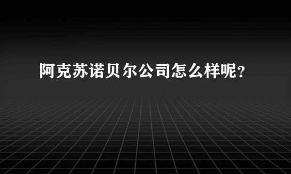 阿克苏诺贝尔公司怎么样呢？