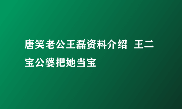 唐笑老公王磊资料介绍  王二宝公婆把她当宝