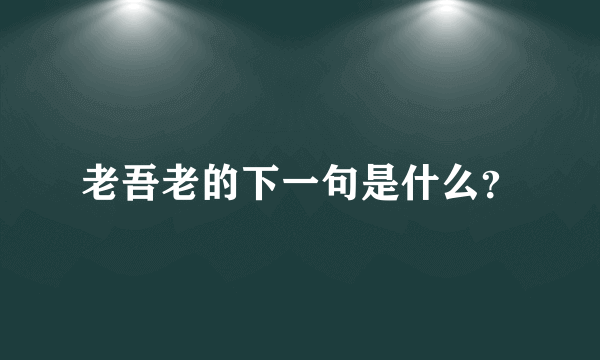 老吾老的下一句是什么？