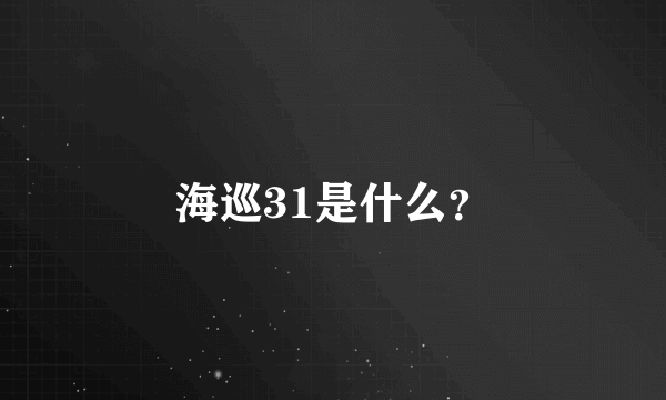 海巡31是什么？