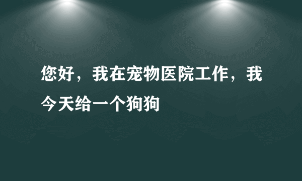 您好，我在宠物医院工作，我今天给一个狗狗