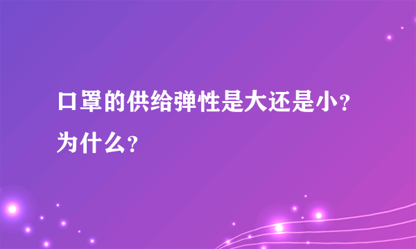 口罩的供给弹性是大还是小？为什么？