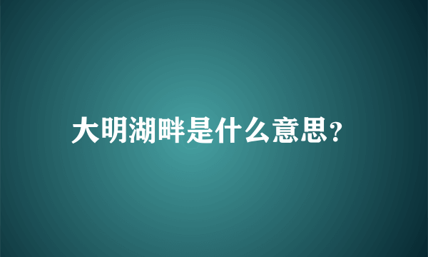 大明湖畔是什么意思？