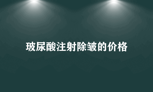 玻尿酸注射除皱的价格